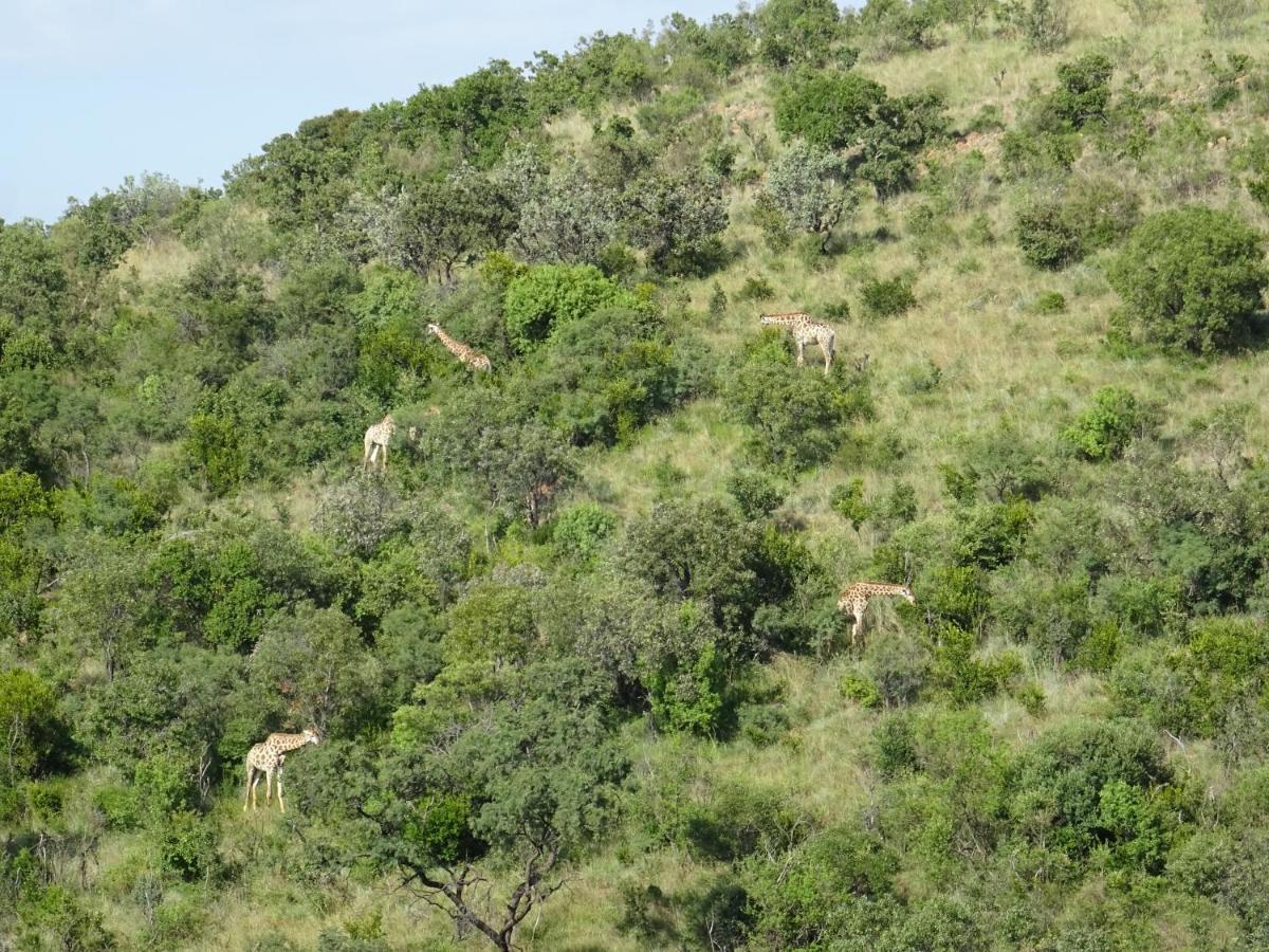 Schrikkloof Private Nature Reserve Bela-Bela Exterior foto